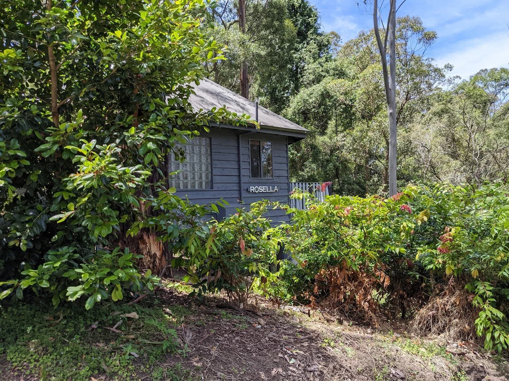 Rosella Cabin nestled among native bushland