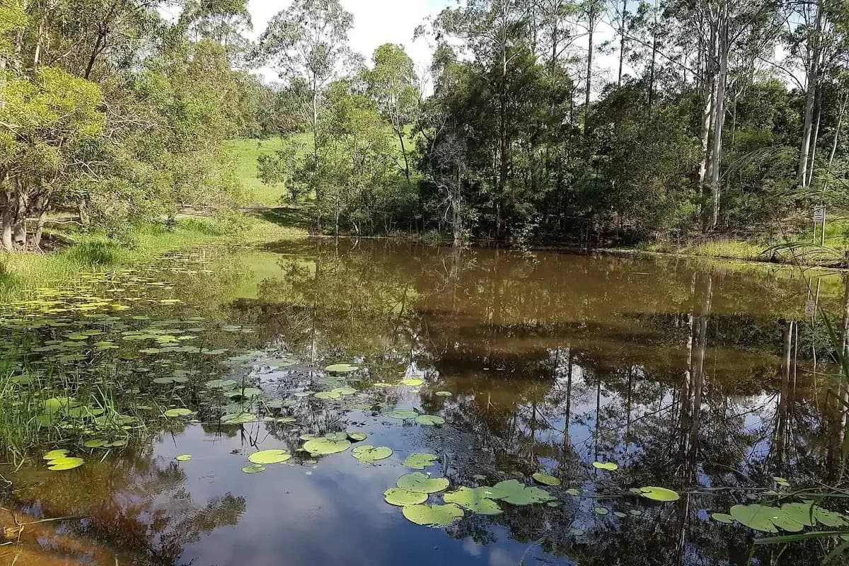 Community lagoon at the property