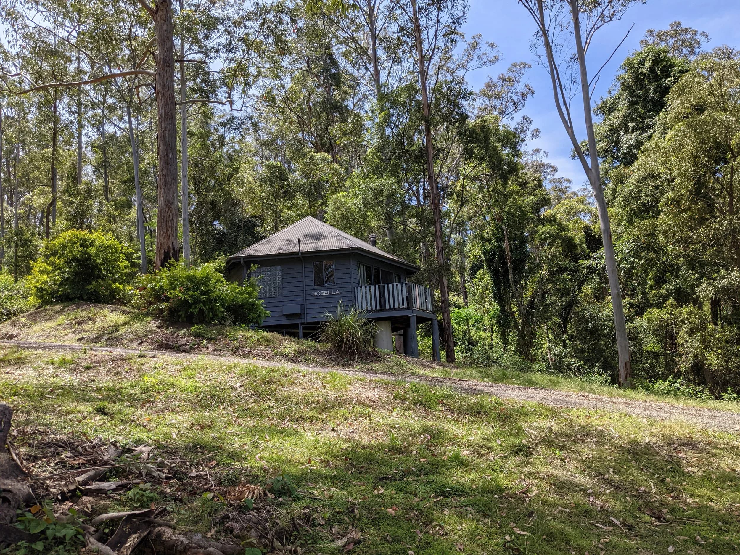 Rosella Cabin from a distance through the trees