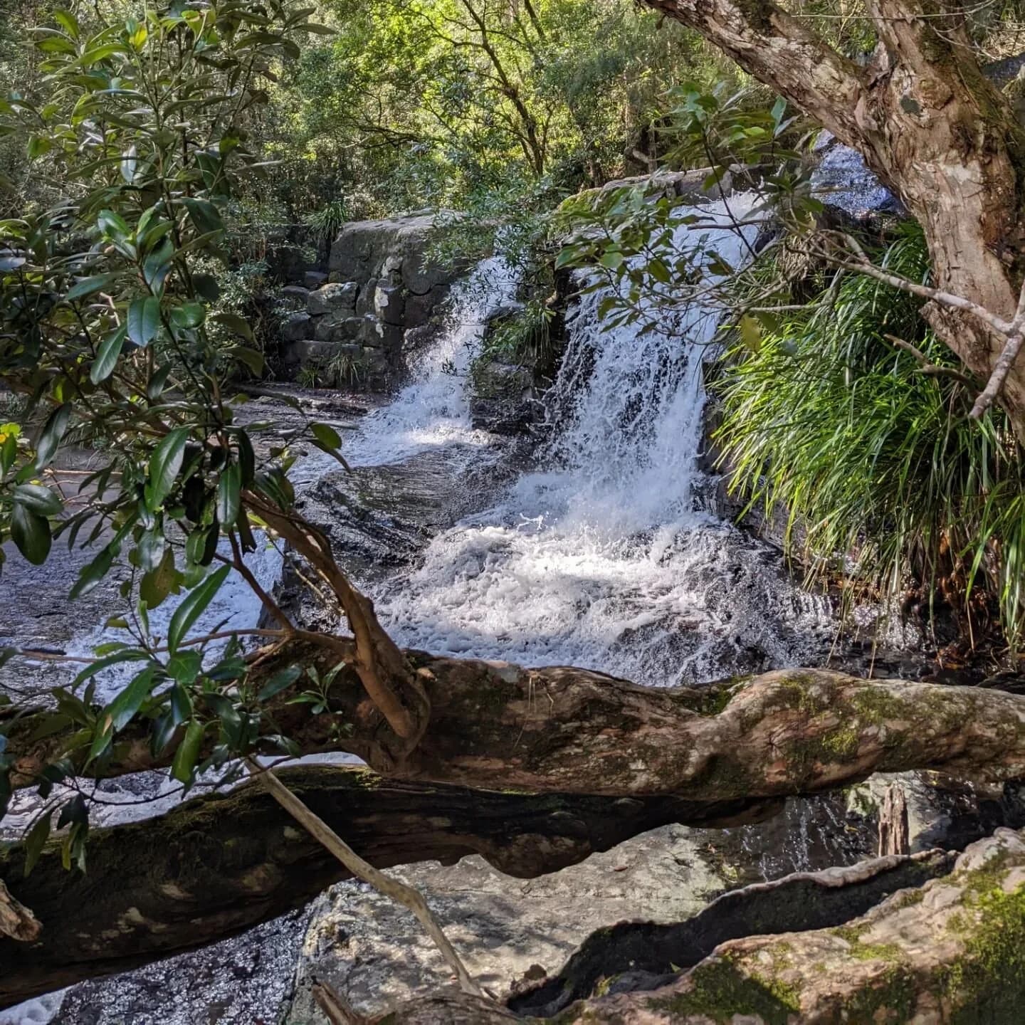 Waterfall in Barrington Tops National Park