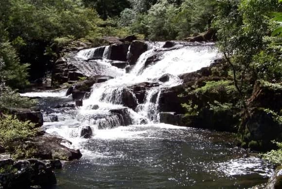 Gloucester Falls in Barrington Tops National Park