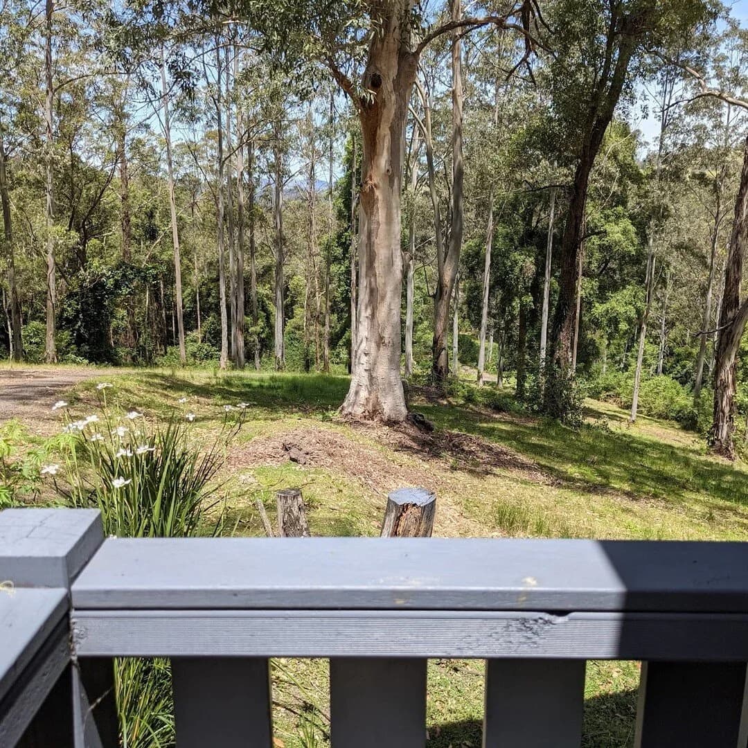 View from cabin deck overlooking native bushland
