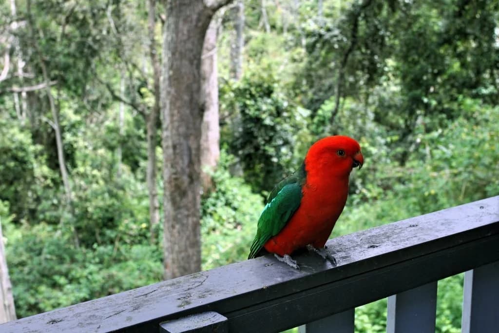 Scenic view of the cabin property